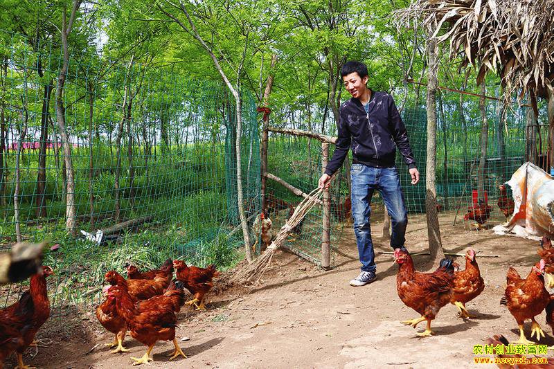 ��������95��ũ���￵������������ �������ŵ�