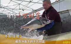 [�¸���]�������ں�ʱ������ֳ���㴴��ǧ��Ƹ�