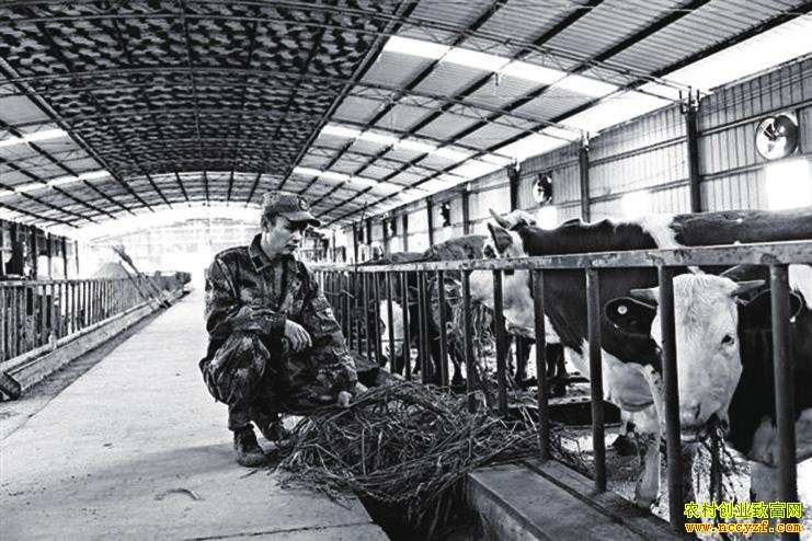 �����뽭�������ֲ���ţ ѭ����չЧ���