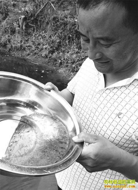 ɽ��۰�����߳�������С�������ɴ��ҵ