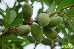 ��ѧ��ɽ���Ҽ޽ӱ����� ��������������