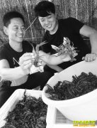 ɽ��۰�ǣ�������ֳС��Ϻ��˫Ӯ