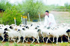 �����γء�90�󡱴�ѧ���뻶���紴ҵ�����¸�