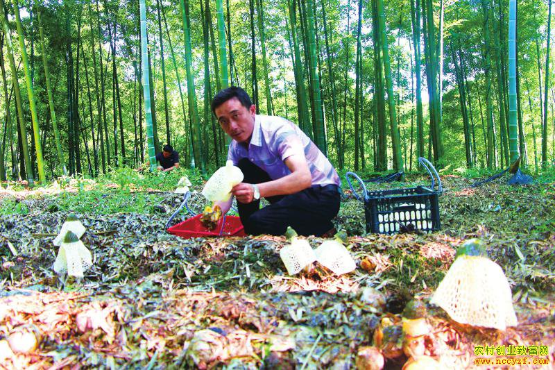 �Ĵ��������ǿ����ݥ ����ֱ䡰�۱��衱