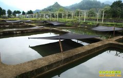 �Ĵ��������۾������»����ܺ��λ��紴ҵ�������һ������