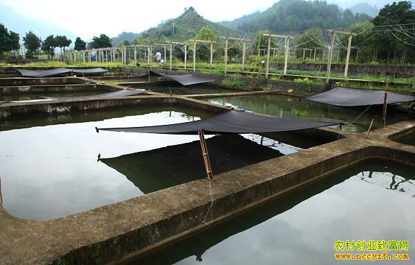 �Ĵ��������۾������»����ܺ��λ��紴ҵ�������һ������