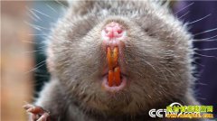 [�¸���]���϶��������������������׬ȡ���ͲƸ�