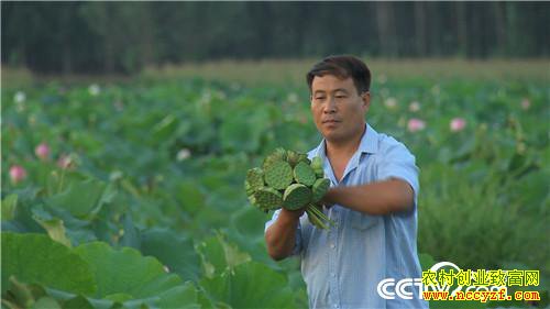 [�¸���]ɽ����̨����־����ֲ��������������800��