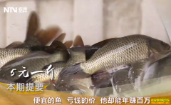 [�¸���]�Ĵ��ɶ���������ֳ������׬����Ԫ