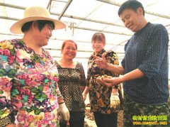 ССˮ�ε� �����ü�Ǯ ɽ��۰�ǳ¾�ΰ��ֳˮ��Ч���