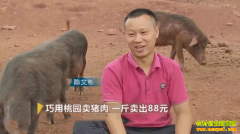 [�¸���]������س��ı�������԰������һ������88Ԫ