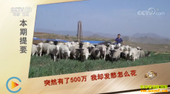 [�¸���]�ӱ��żҿ������������ҵ�ŵ��������