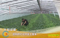 [�¸���]ɽ���ൺ���¸յ���Ԫ�Ƹ�������