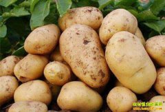 ��һ�������������������� �۸���ߵ�