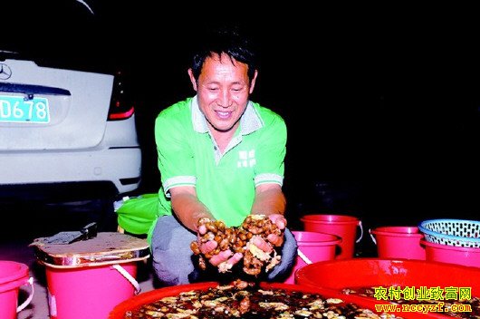 ɽ���������������300Ķ���֡����