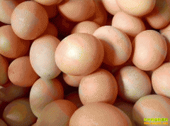 7�¼������飺2019��7��13��ȫ�������۸�����