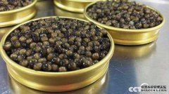 [�¸���]�￪��֣ά����ֳ���� ������ڳ����ڻƽ�