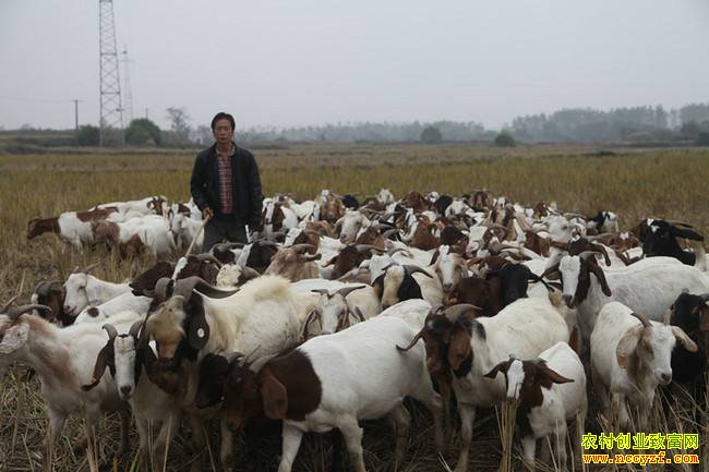 �Ĵ��ϳ��������������ɽ�򱼸�·