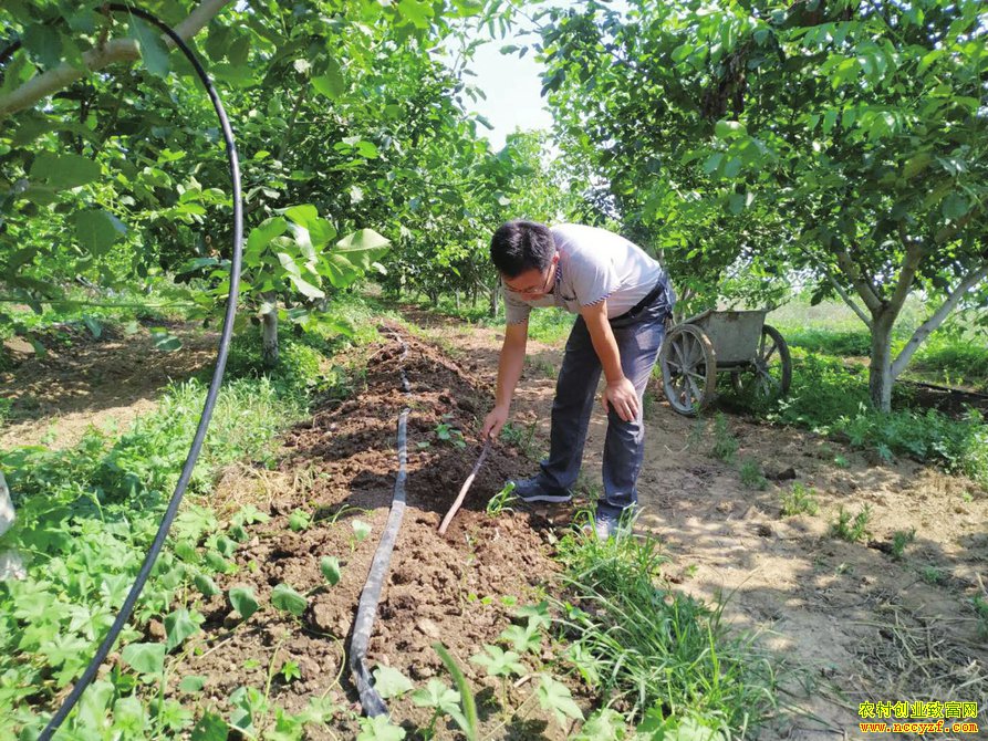 ɽ��ƽ�����������������Ч���