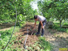 ɽ��ƽ�����������������Ч���