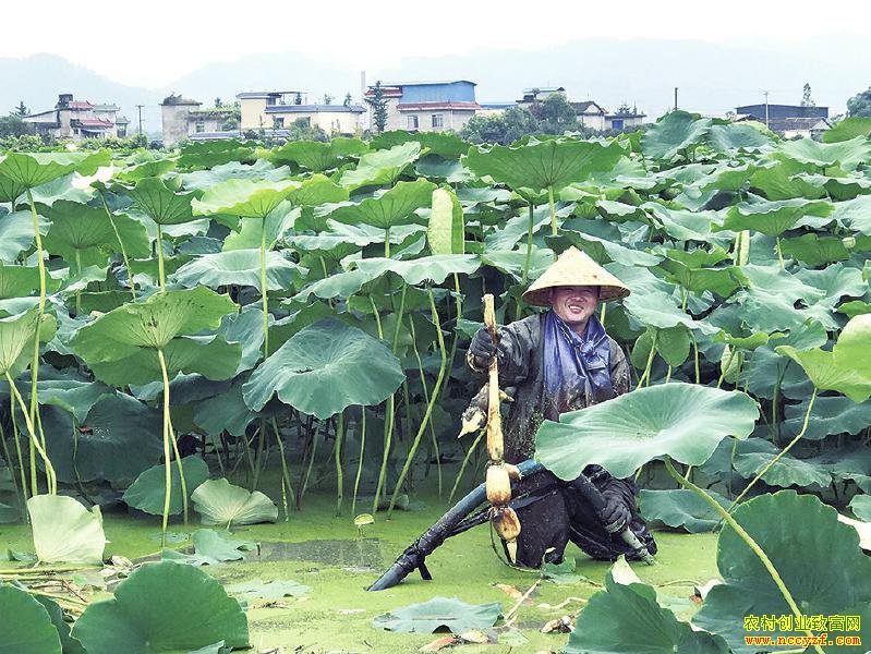 �Ĵ������ض�������ֲ��������ź��Ч���