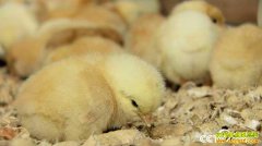 [�¸���]�������������������ڼ�����ǧ��Ԫ