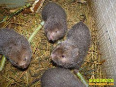 �Ĵ���̨���������紴ҵ������ ����Բ�˴�ҵ��