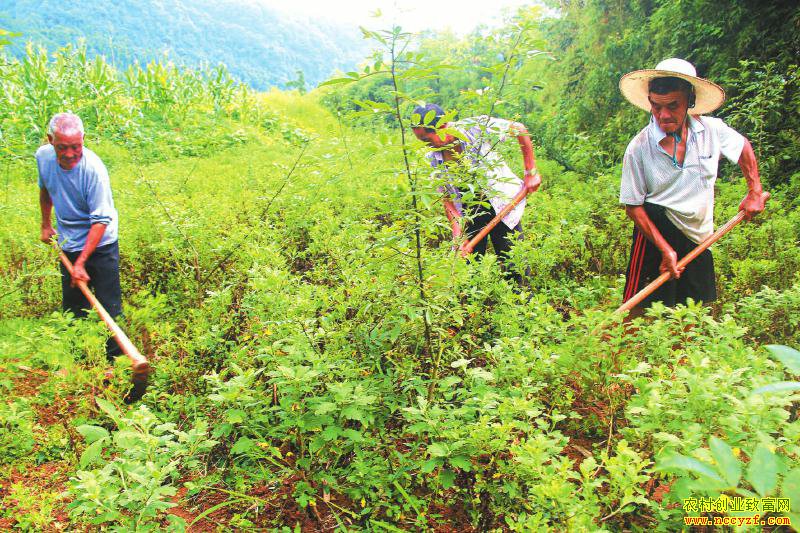 �Ĵ����ݣ������������ֽ�˿�ʾ�Ч���