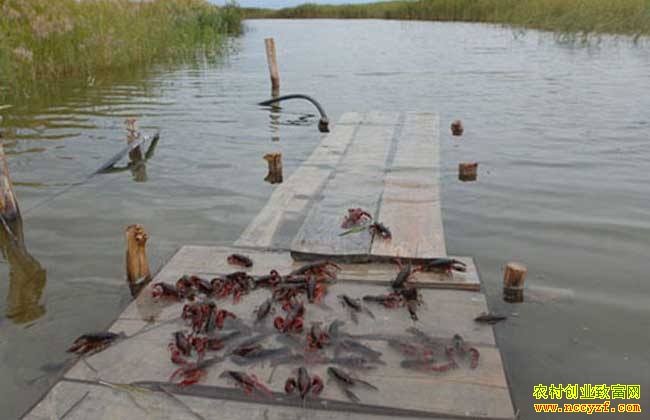 �Ĵ���¤��������Ϻ��ҩ���̻���ء�������