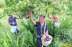 �����һ���Ǳ� �Ĵ��㰲���ƻ���ֲ�����ÿĶ�������