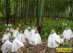 �Ĵ����ݲ����ϰ����ι���������ݥĶ������1��Ԫ