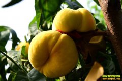 ɽ���������������ѧ����ÿ������8Ԫ�߼�