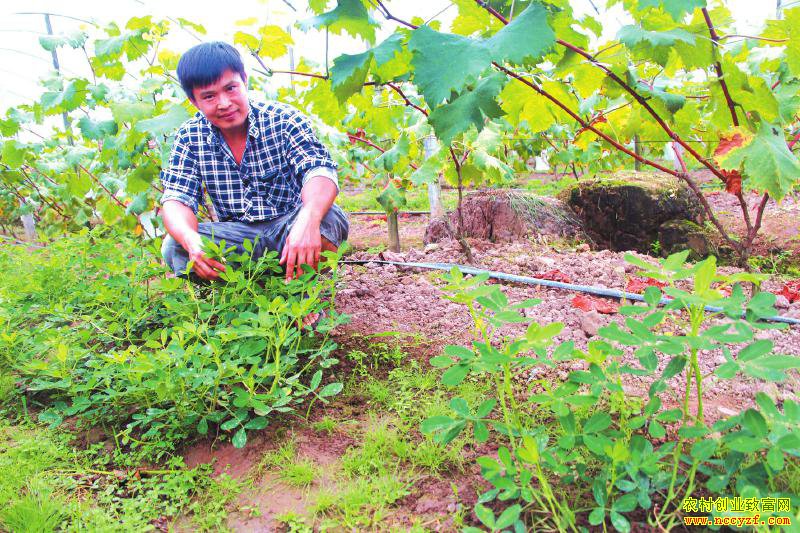 �Ĵ���������������԰���ֻ���Ч���