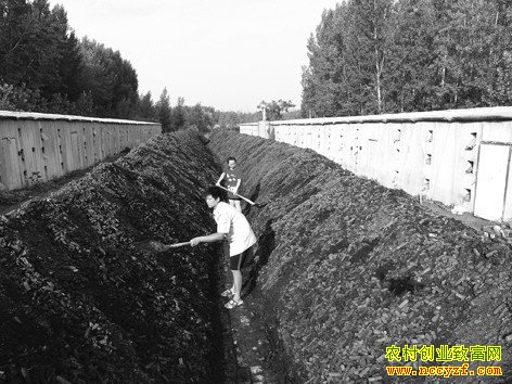 ɽ���������ɽ�򸾻��紴ҵ�����ԡ�����Ģ��