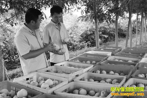 ɽ�����ؿ��������紴ҵ�ֻ���