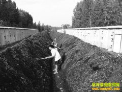 ɽ���������ɽ�򸾻��紴ҵ�����ԡ�����Ģ��