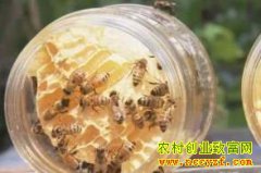 �����ߺ����䴺ƿ�����۷� �������ú�