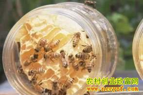 �����ߺ����䴺ƿ�����۷� �������ú�