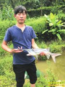 �Ĵ���Ϫ��Сƽ��ֳѼ����������