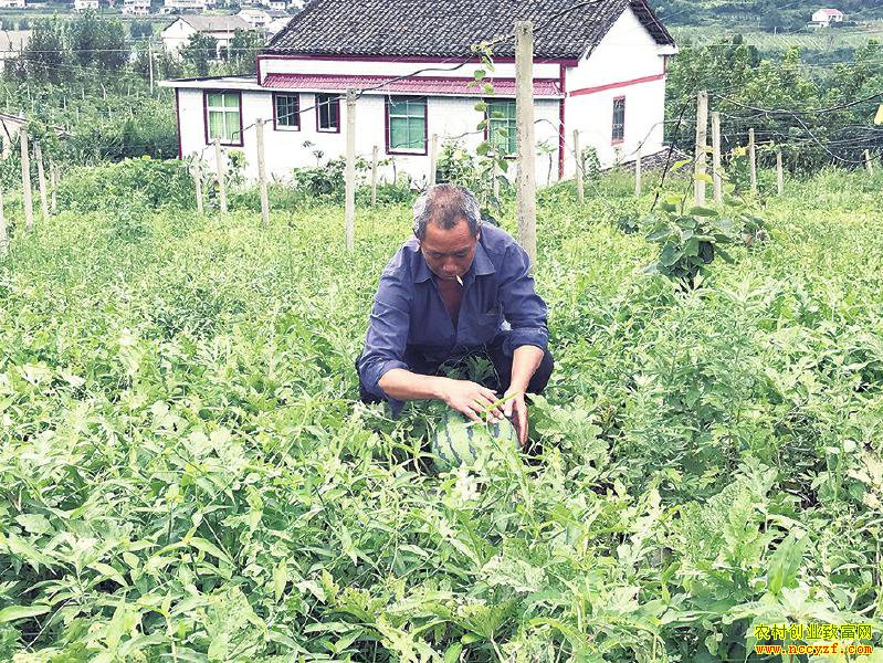 �Ĵ���Ϫ��⨺��ҹ�԰�������� ����׬ͷ