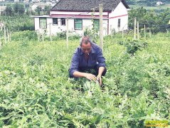 �Ĵ���Ϫ��⨺��ҹ�԰�������� ����׬ͷ