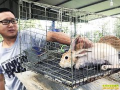 �Ĵ���Ϫ������ֶ�Ԫ��ҵ ������·��ͨ��