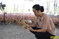 ������ƽ90��Ů��ѧ��½���귵�紴ҵ����