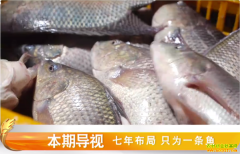 [�¸���]���겼�� �㶫�麣�����ֻΪ��ֳ����