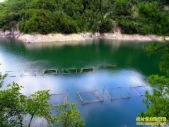 �Ĵ�ƽ����������������̬���ʡ�ɱ����ʺ�