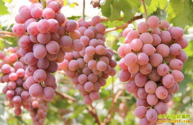 �������Ѽ۸���µ�����