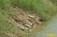 ���ս�կ���������Ҵ��������㴴ҵ�¸�