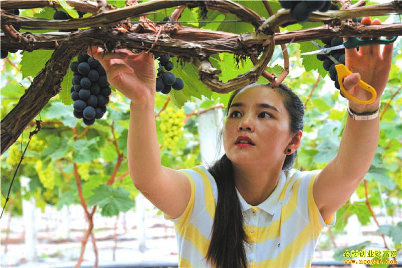 �Ĵ�üɽ��������ʩ�������������о���