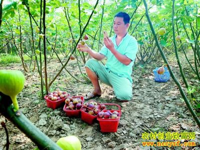 ɽ�����󸶵�ˬ��԰ֱ����ժ70Ķˮ��������