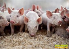 �����۸����� ר�ҽ��������߲����أ�����äĿѹ��